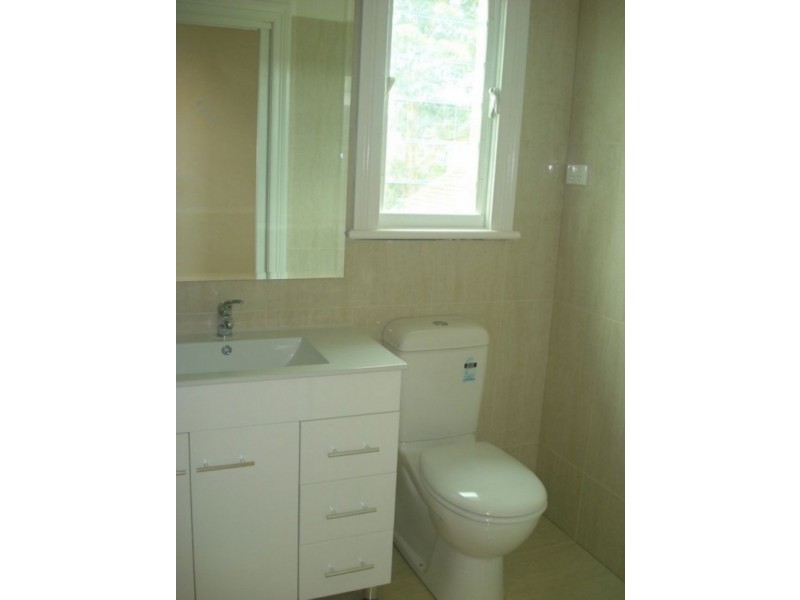 228 Johnston Street, Annandale NSW 2038