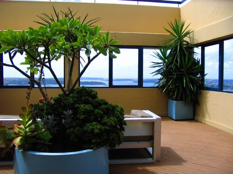 27 Park Street, Sydney NSW 2000