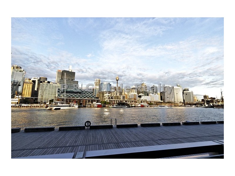 56A Pirrama Road, Pyrmont NSW 2009