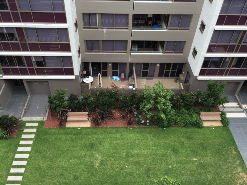 19 Grandstand Parade, Zetland, Waterloo NSW 2017