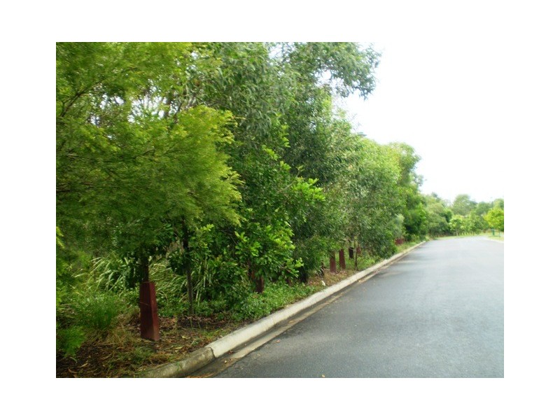 49 Mapelton Circuit, Parkinson QLD 4115