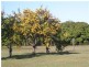 Avondale QLD 4670