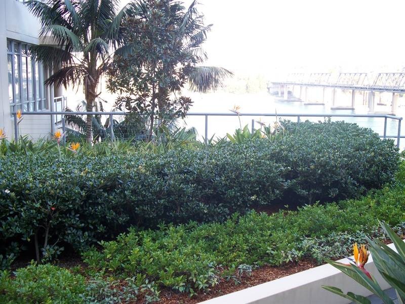 903/3 CARY STREET, Drummoyne NSW 2047