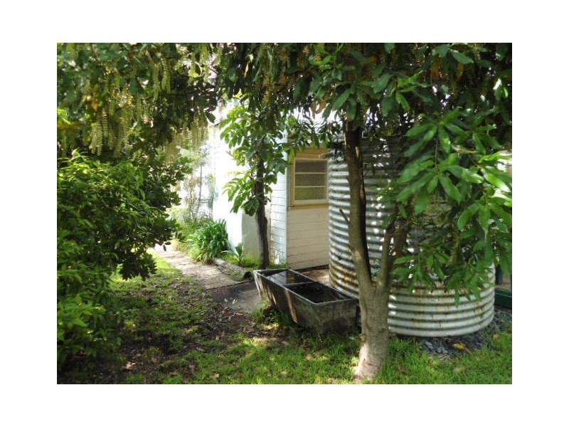 54 Pokolbin Street, Kearsley NSW 2325