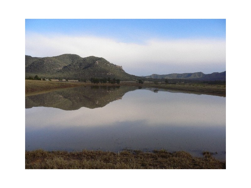 463 Milbrodale Rd, Broke NSW 2330