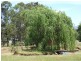 9 Camellia Close, Elrington NSW 2325