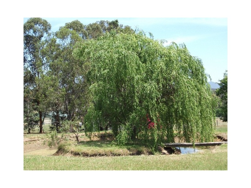 9 Camellia Close, Elrington NSW 2325