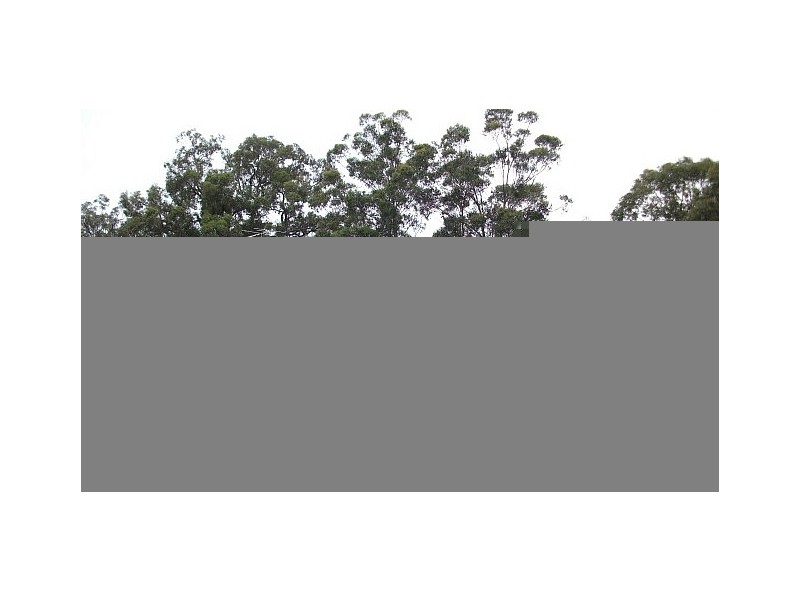 43 Keelendi Road, Bellbird NSW 2325