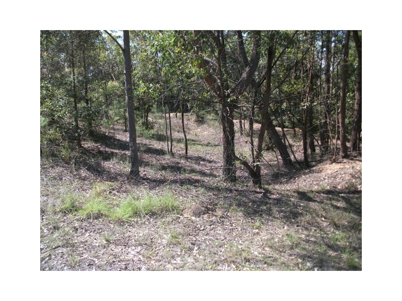 Lot 704,  Missing Link Road, Elrington NSW 2325