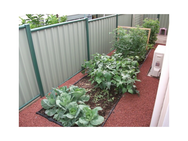 10/56 Carrs Road, Neath NSW 2326