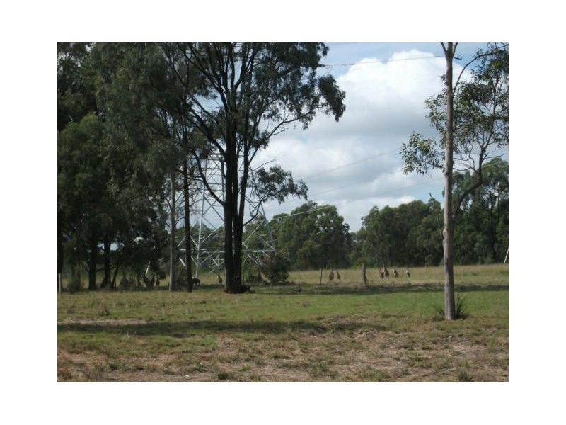 Lot 25, 82 Bentwood Drive, Pokolbin NSW 2320