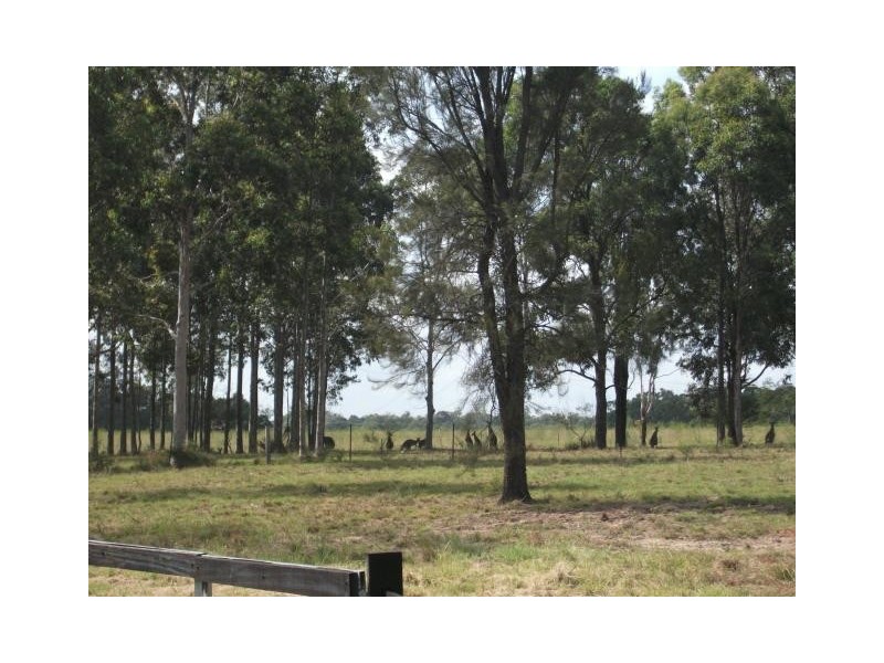 Lot 25, 82 Bentwood Drive, Pokolbin NSW 2320