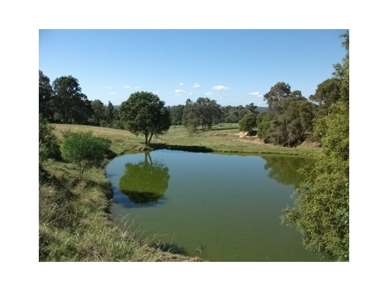 117 Ellalong Street, Kearsley NSW 2325