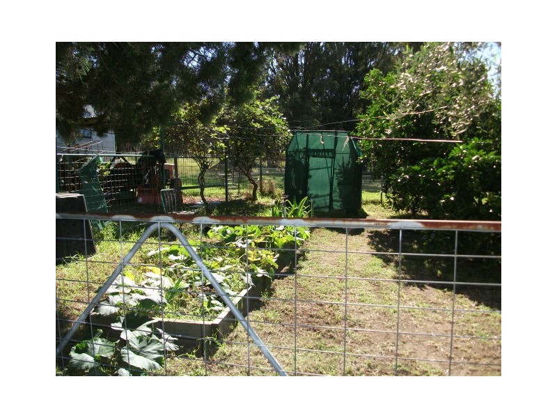 117 Ellalong Street, Kearsley NSW 2325