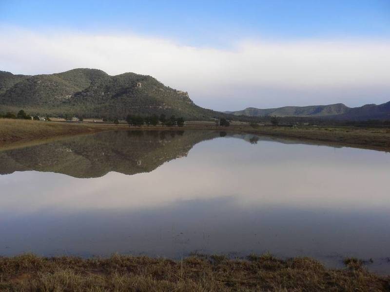 463 Millbrodale Road, Broke NSW 2330
