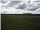 463 Millbrodale Road, Broke NSW 2330
