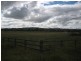 463 Millbrodale Road, Broke NSW 2330