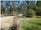 547 Lovedale Road, Pokolbin NSW 2320