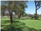 Lot 41 Jacaranda Grove, Elrington NSW 2325