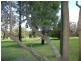 Lot 41 Jacaranda Grove, Elrington NSW 2325