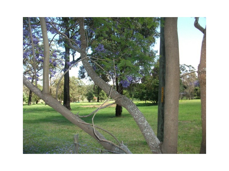 Lot 41 Jacaranda Grove, Elrington NSW 2325