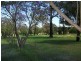 Lot 41 Jacaranda Grove, Elrington NSW 2325