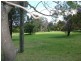 Lot 41 Jacaranda Grove, Elrington NSW 2325