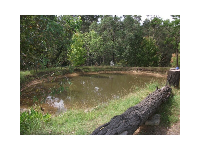 54 Jacaranda Grove, Elrington NSW 2325