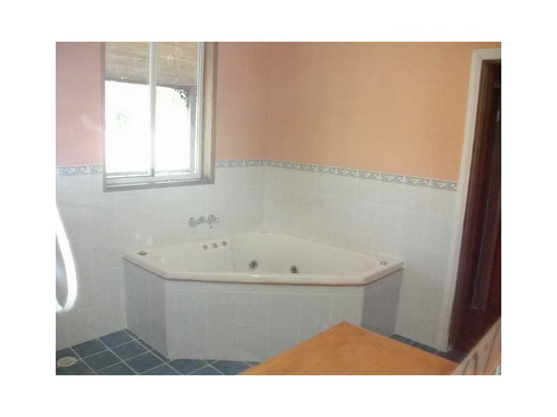 253 Wollombi Road, Bellbird NSW 2325