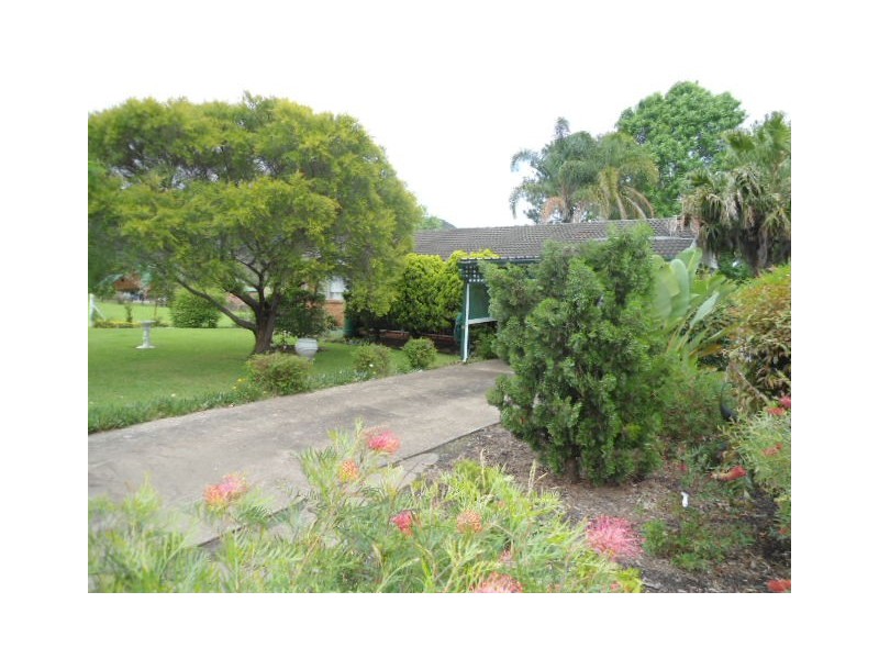 1284 Leggetts Drive, Brunkerville NSW 2323
