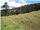 Lot 3, 4249 Great North Road, Laguna NSW 2325