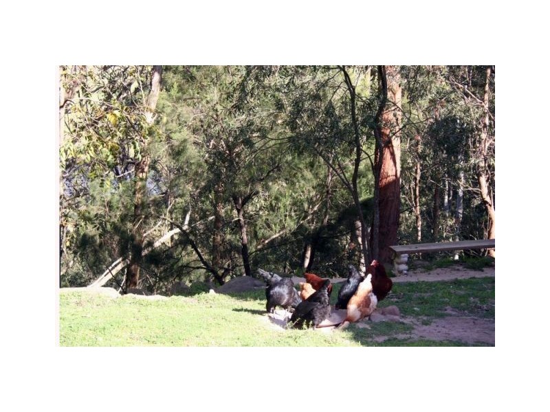 1652 Wollombi Road, Millfield NSW 2325