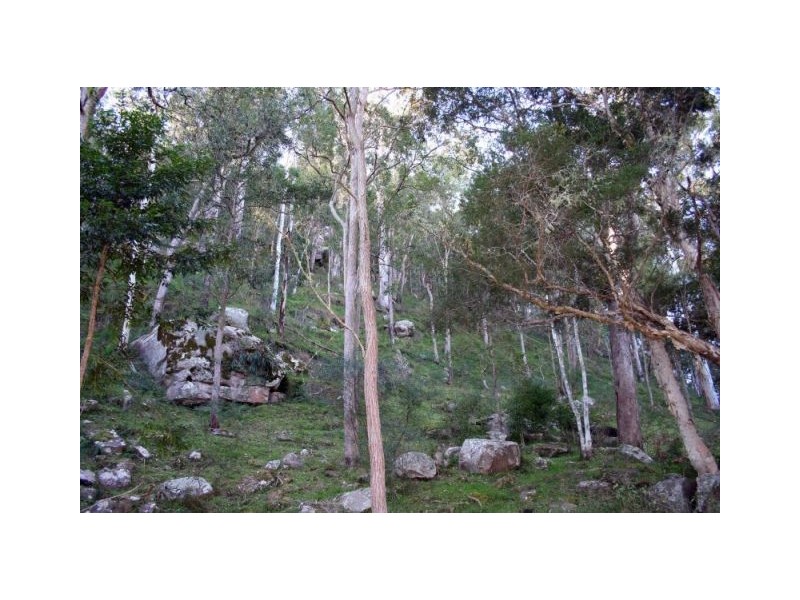 1652 Wollombi Road, Millfield NSW 2325