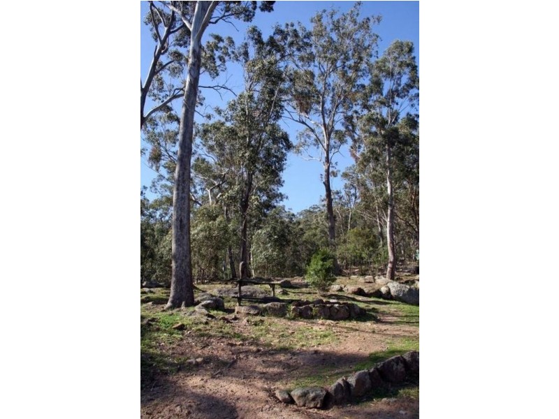 1652 Wollombi Road, Millfield NSW 2325