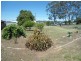 115 Wine Country Drive, Nulkaba NSW 2325