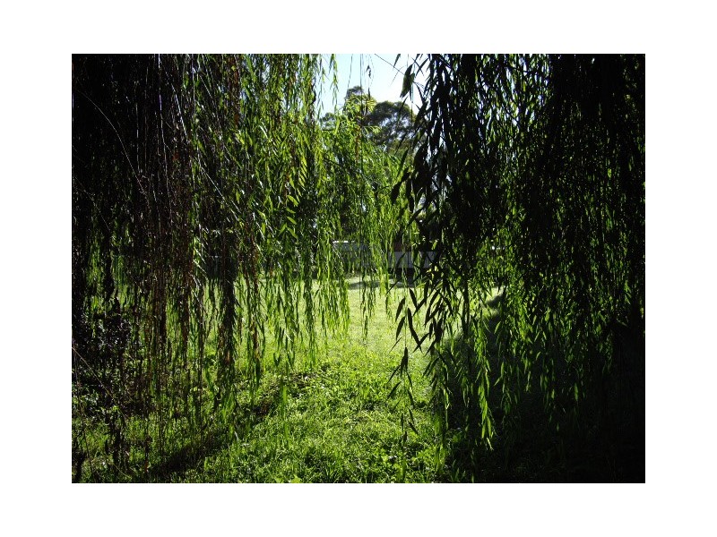 69 Cessnock Street, Kitchener NSW 2325