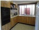 81 Wollombi Road, Millfield NSW 2325