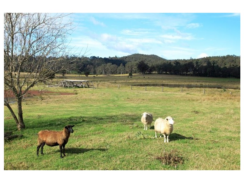 245 Congewai Road, Congewai NSW 2325