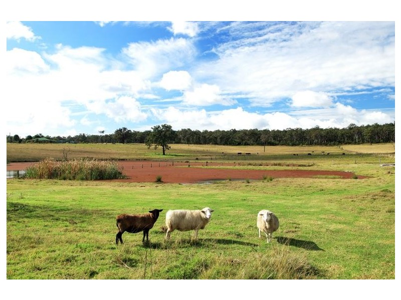 245 Congewai Road, Congewai NSW 2325