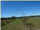 Lot 76, 91 Bentwood Drive, Pokolbin NSW 2320