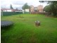 83 Rawson Street, Aberdare NSW 2325