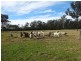 1528 Sandy Creek Rd, Ellalong NSW 2325