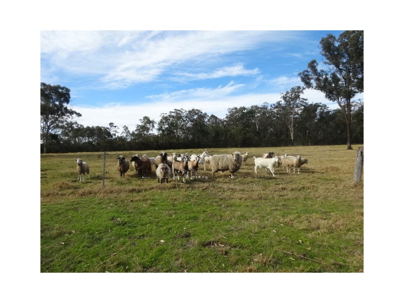 1528 Sandy Creek Rd, Ellalong NSW 2325