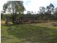 1528 Sandy Creek Rd, Ellalong NSW 2325