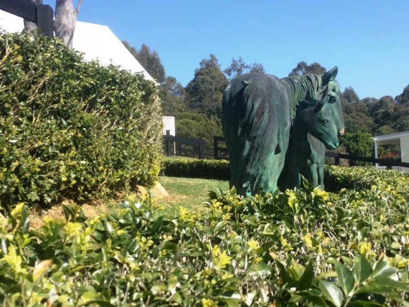 100 Rodney Road, Mount Vincent NSW 2323