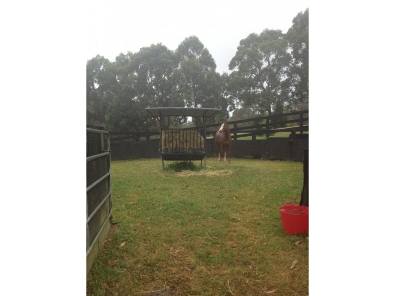 100 Rodney Road, Mount Vincent NSW 2323