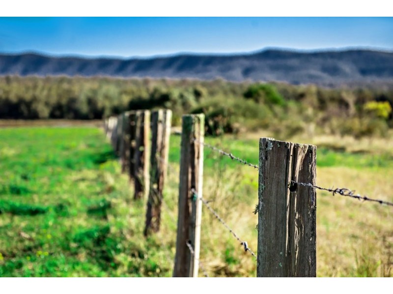 Lot 318,  Redgum Road, Paxton NSW 2325