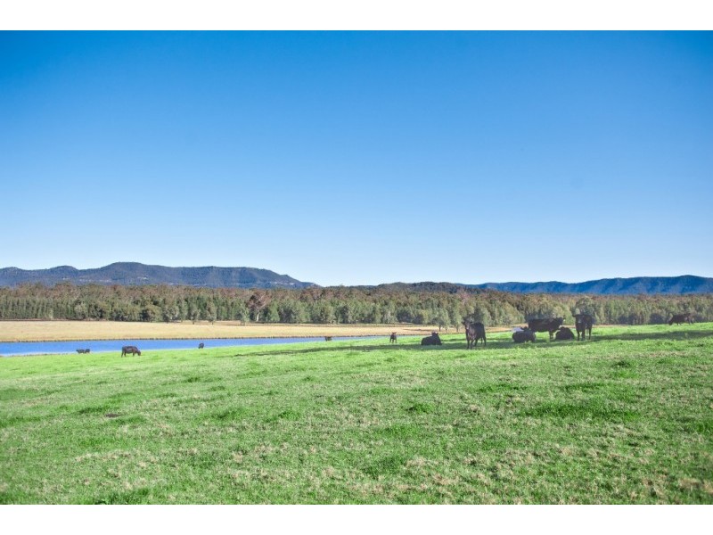 Lot 318,  Redgum Road, Paxton NSW 2325