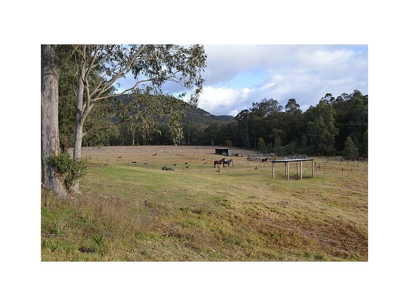 Ellalong NSW 2325