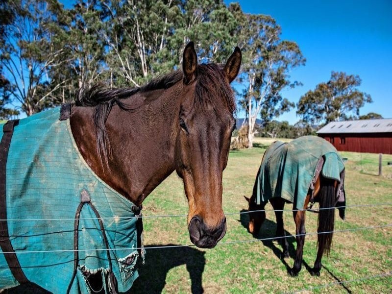 Lot 503,  William Street, Paxton NSW 2325